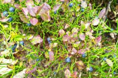 286416474_644384656867691_7298522547650268376_n