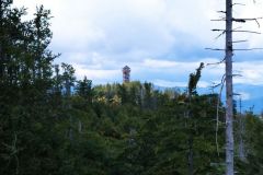 301817652_475939104437018_5111178194573165213_n