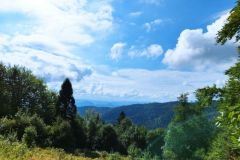 301974920_1781292302221269_8521834276924655478_n