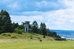 302304109_925577768832998_1904028481879143332_n