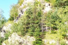 302313914_1345348465994886_2143571490487244256_n