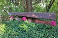 302319719_4112203238903992_182648941782555303_n