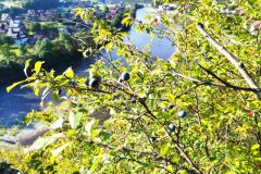 302354661_1059002284748049_879847969360284078_n