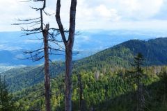 302413753_1010363666293066_9199315474083587775_n