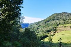 302433908_1909968729194265_5345690282657821834_n