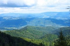 302433908_766281524490507_6514859540084440495_n