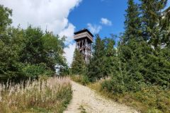 302442253_403191378621341_7490320265388228682_n