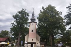 302517935_611939576995759_3066881826595695255_n