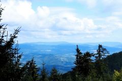 302570192_389245266730001_6373741977822181187_n