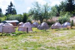 302612106_398051602477920_2855931512765833191_n