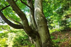 302618639_5551679024854726_2396623300810741613_n