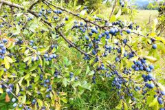 302736619_589625609566655_5721641825675922411_n