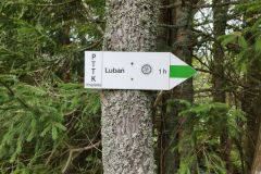 303491533_1722860614738607_6599347632001703868_n