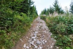 304960204_777777800202718_6477245765676826893_n