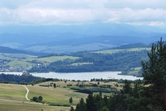 305041151_433306935425332_779710237526244742_n