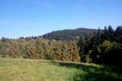 244341511_1029675647863150_2837860565087016784_n