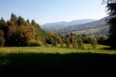 244427605_227361012762280_8263698574022465646_n