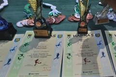 61568533_564866514040629_769050775232970752_n