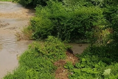 33382266_646647012342945_8431555594195828736_n