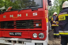 33606510_646639605677019_1862692363831345152_n