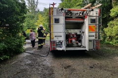 33644945_646638659010447_1404744297688858624_n