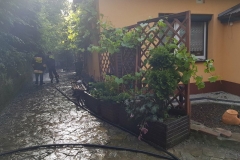 33649346_646638859010427_5305243255850401792_n