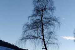 WhatsApp-Image-2024-01-21-at-16.07.46-2