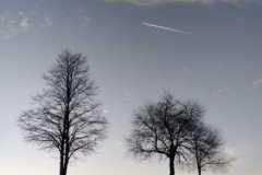 WhatsApp-Image-2024-01-21-at-16.07.46-3