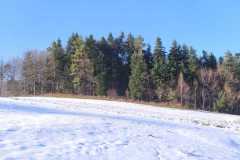 WhatsApp-Image-2024-01-21-at-16.07.47-1