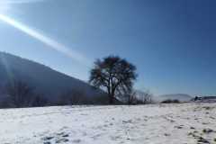 WhatsApp-Image-2024-01-21-at-16.07.47-3