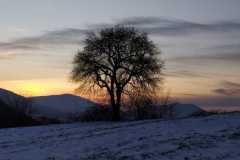 WhatsApp-Image-2024-01-21-at-16.13.41