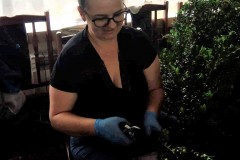 281222801_740676890618738_2185273801403139588_n