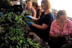 281262328_740677267285367_6213179319576457283_n