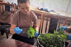 281265718_740677460618681_1900327291420423940_n