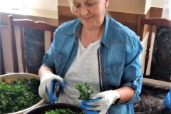 281288911_740677180618709_3912157926542460510_n