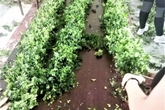 281342254_740677547285339_7981028451661340030_n