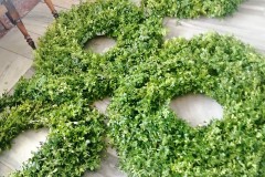 281461714_740677613951999_6776903529141641213_n