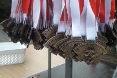 20200301_113244_wynik