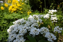 528540f7-120a-4a33-bb50-01a8352446ae