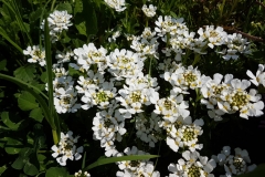 5df95580-5337-4a05-ba14-4caad77e5652