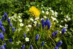 68785c31-c90d-41df-8152-e8e2eb4575d7