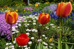 b633ccf5-8d0a-457c-bea4-38ec03ae94dd