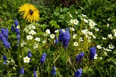 e96dc5b8-759e-4c51-a7d7-4759263efa11