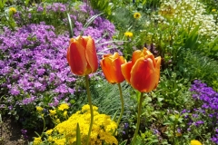 fa7bf483-f5e1-4416-bff7-7ad36dfa21be