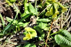 277849046_3098369603735668_207411862264132640_n