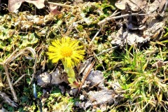 278133339_1111677633013793_6338202589486723836_n