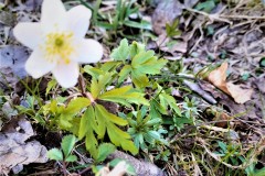 278180461_707870733690682_873504697578024885_n