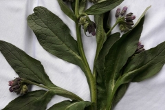 65117255_763580437372243_3139084905363800064_n