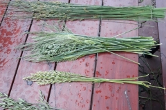 65176440_2327789977459939_4412118387333791744_n