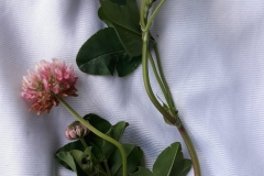 65790163_472261450250655_3065393565896015872_n